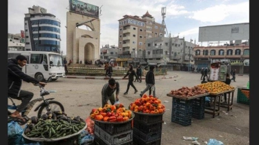 Sibuk Hancurkan Gaza, Agrikultur Israel Morat-marit, Hasil Panen Yordania Banjiri Pasar 