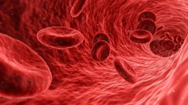 Fakta-fakta Golongan Darah P, Golongan Darah Baru dan Langka Ditemukan di China