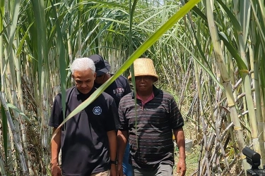 Petani Blak-blakan Ke Ganjar, Harga Jual Gula Lebih Menguntungkan di Pabrik Swasta Ketimbang Pemerintah