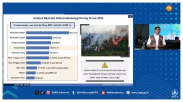 BNPB Prediksi Musim Kemarau 2024 Tidak Terlalu Panjang, Kebakaran Hutan dan Lahan Lebih Minim