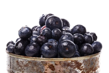 5 Khasiat Acai Berry Untuk Kesehatan Tubuh, Salah Satunya Stabilkan Berat Badan