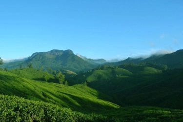 7 Wahana Keluarga di Kebun Teh Pagilaran Batang, Ada Jembatan Gantung