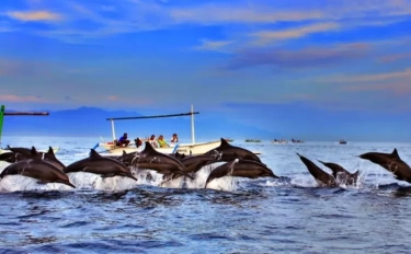 Pesona Wisata dan Daya Tarik Objek Wisata Pantai Lovina Bali, Ini 3 Tempat Menarik di Sekitar Wisata