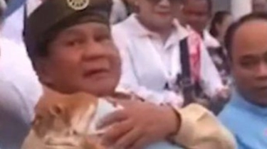 Kucing Oren Dikenal Preman, Kok Bisa Nurut Digendong Prabowo Subianto, Pertanda Apa?