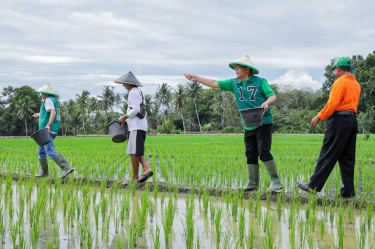 Mardiono Rayakan Harlah ke-51 PPP dengan Dialog Bersama Petani dan Warga di Kabupaten Pesawaran