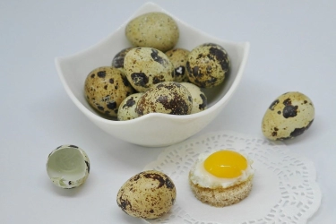 Apakah Telur Puyuh Baik untuk Kesehatan?