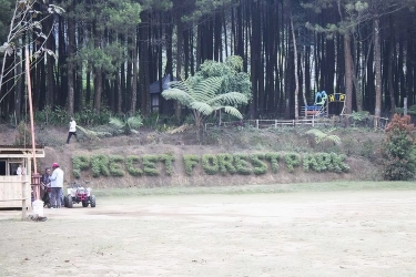 Precet Forest Park Malang, Sensasi Camping di Hutan Pinus Kaki Gunung Kawi