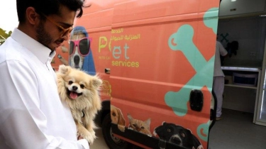 8 Tips Bawa Anjing Peliharaan ke Arab Saudi Secara Legal, Pit Bull dan Doberman Dilarang