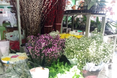 Hari Raya Imlek, Ini Bunga yang Paling Dicari di Pasar Rawa Belong
