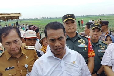 Soal Petani Sedikit tapi Subsidi Pupuk Naik, Ini Kata Mentan