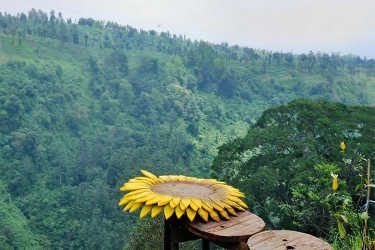 Spot Foto di Madakaripura Foret Park Probolinggo dan Tarifnya