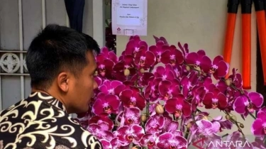 Dikirim Presiden Jokowi Untuk Megawati Soekarnoputri, Ini Makna Bunga Anggrek Ungu