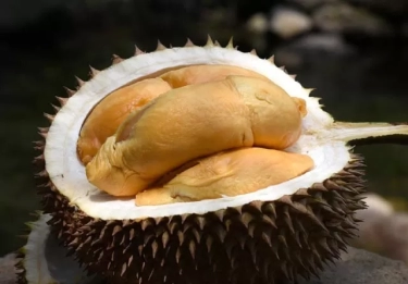 Benarkah Buah Durian Mengandung Kolesterol Tinggi? Simak Penjelasannya