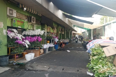 Rawa Belong, Pasar Bunga Terbesar di Asia Tenggara yang Berjuang Usai Pandemi