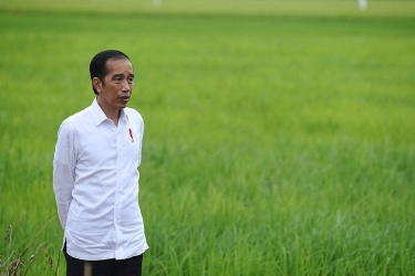 Saat ''Food Estate'' Dikritik Cak Imin dan Mahfud, Diakui Gibran Ada yang Gagal