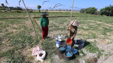 Masalah Sanitasi jadi Kendala Pengentasan Stunting di Indonesia