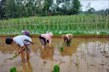 Desa Wisata Legok Barong Purwakarta: Daya Tarik, Lokasi, dan Jam Buka