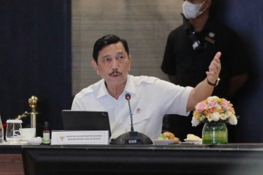 Luhut Ceramahi Thomas Lembong: Intelektualitas Anda Saya Ragukan