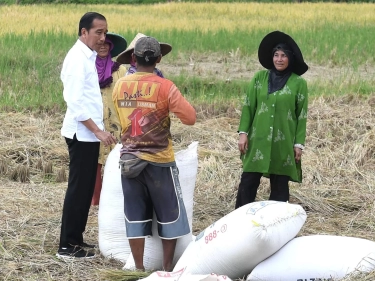 Beri Bantuan untuk Petani Indonesia, Presiden Jokowi Segera Lakukan Realisasi Pencairan Dana