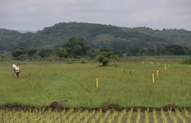 Ganti Rugi Tanah Terdampak Tol Kediri-Tulungagung Masif Dilakukan Usai Aksi Protes Warga, Total Sampai Rp 30,8 Miliar