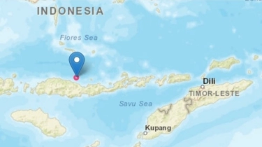 Gempa Flores 5,6 Tak Berpotensi Tsunami, Dipicu Sesar Naik Flores