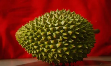 7 Makanan yang Sebaiknya Tidak Dikonsumsi Bersamaan dengan Durian