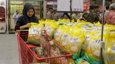 Penyebab Harga Beras Naik Belakangan Ini, BPS Ungkap Datanya