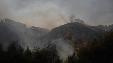 Kebakaran Hutan di Chile, 51 Orang Tewas, 1.000 Rumah Hangus