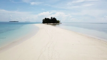 Cuma Ada di Pulau Morotai, Liburan Ke Pantai dan Laut Sambil Mengamati Burung Langka Asli Indonesia Timur