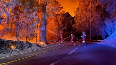 Tragedi Kebakaran Hutan Di Chile, 51 Orang Tewas