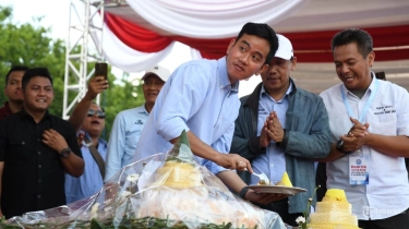 Guru Besar Hukum Konstitusi Nilai Keputusan DKPP Keliru Besar