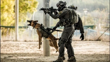 Pasukan Anjing Unit Oketz IDF Keok Lawan Anjing Besar Hamas, Israel Cari Hewan Terbaik di Eropa