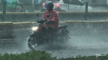 Cuaca Jabodetabek Hari Ini, Rabu, 7 Februari 2024, BMKG: Wilayah Bogor Berpotensi Hujan Petir