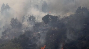 Korban Tewas Kebakaran Hutan di Chile Bertambah Jadi 131 Orang