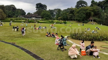 Libur Panjang, Kebun Raya Bogor dan Kebun Raya Bali Alami Jumlah Kenaikan Pengunjung: Intip Berbagai Fasilitas Serunya!