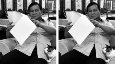 Seandainya Prabowo Subianto Jadi Presiden, Bagaimana Nasib Bobby The Cat?