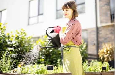 Suka Berkebun! Jangan Lakukan 7 Kesalahan Ini Saat Menyiram Tanaman Sayur