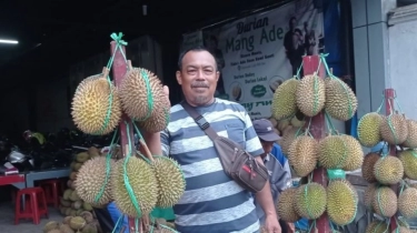 Legitnya Bisnis Durian Badui, Omzet Tembus Miliaran Rupiah!