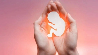 Upaya Pencegahan Kematian Janin di Masa Kehamilan