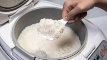 Jumlah Rice Cooker Gratis Tak Sesuai Target Awal, Ini Penyebabnya