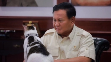 Bobby Kucing Prabowo Siap Masuk ke Istana Negara, Begini Komentar Kocak Netizen
