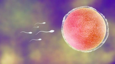 3 Tips Menjaga Sperma Tetap Bagus dan Baik Agar Anak Terhindar Dari Stunting dan Cacat