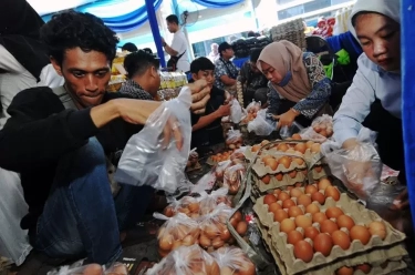 Jelang Ramadhan Harga Telur Meroket hingga 30 Ribu Tapi Peternak Merugi, Berikut Penyebabnya