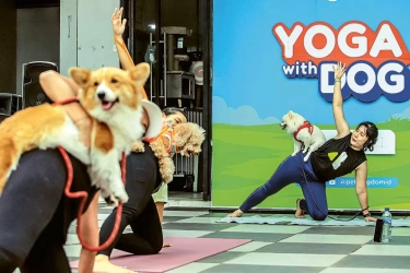 Perkuat Bonding dan Bangun Trust lewat Yoga Bareng Anjing: Ada Yang Siapkan Camilan, Ada Yang Selipkan Kata-Kata Afirmatif