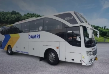 Siap-Siap! DAMRI Sediakan 250 Lebih Armada untuk Program Mudik Gratis Bersama BUMN