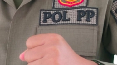 Kabar Baik! 75.000 Satpol PP Berpeluang Jadi ASN