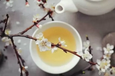 Pernah Coba White Tea? Simak 5 Manfaat Luar Bisa Konsumsi Teh Putih Bagi Kesehatan Tubuh