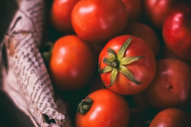 7 Manfaat Tomat Yang Belum Diketahui, Salah Satunya Mencegah Jerawat!