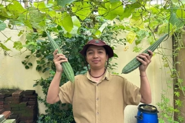 Konsisten dan Sabar Jadi Kunci Sukses Berkebun