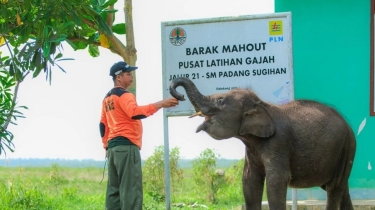 PLN Indonesia Power Dukung Prasarana Patroli Untuk Pelestarian Gajah Sumatra